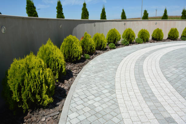 Reasons to Select Us for Your Driveway Paving Requirements in San Tan Valley, AZ